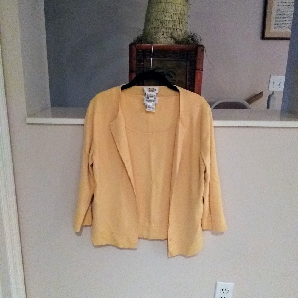 Talbots Sweater Set